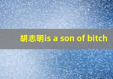 胡志明is a son of bitch